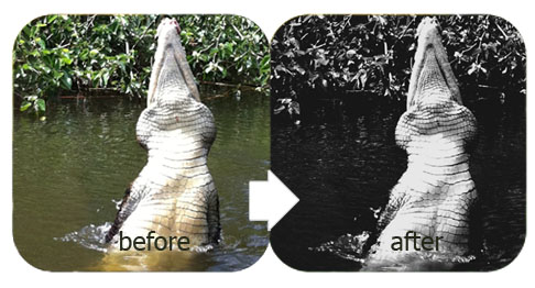 tutorial image